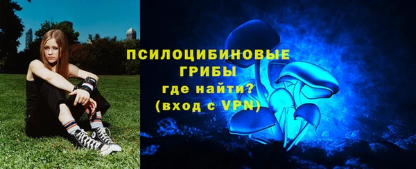 дмт Абаза