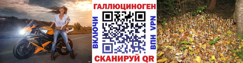 Псилоцибиновые грибы ЛСД Новокузнецк
